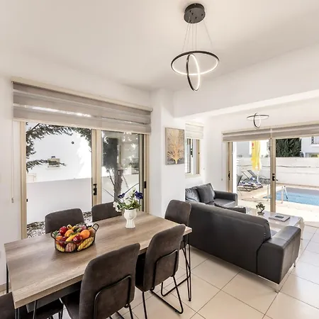 Palms 31