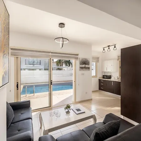 Palms 31