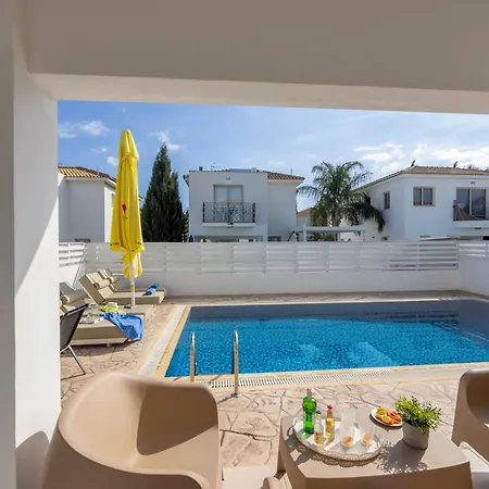 Palms 31