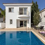 Palms 31