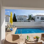 Palms 31