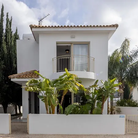 Palms 31 *