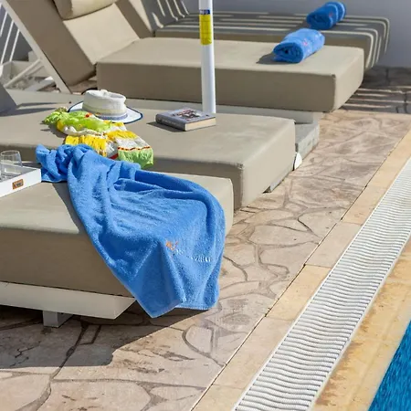 Palms 31 * Протарас