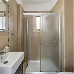 Palms 31