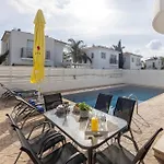 Palms 31