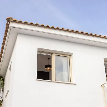 Palms 31 * פרוטאראס