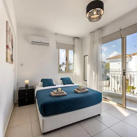 Palms 31